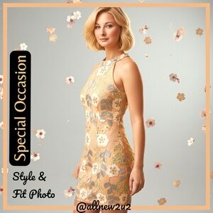 Soft Peach Sleeveless Dress with incredible Lace overlay Size Large Exc Cond